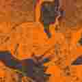 Avatar de Usuario