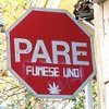 Avatar de Usuario