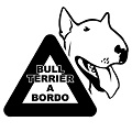 Avatar de Usuario